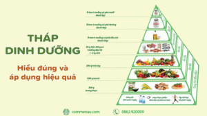 Một suất ăn văn phòng dinh dưỡng bao gồm những gì?