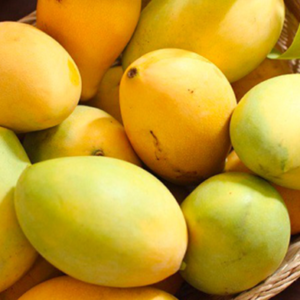 Xoài cát hòa lộc